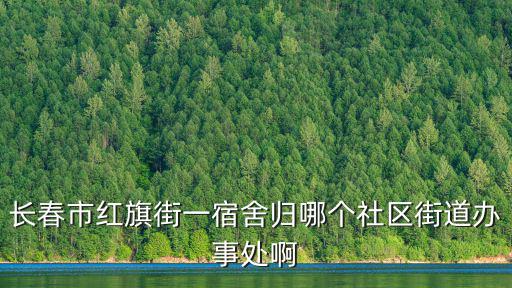 長春市紅旗街一宿舍歸哪個社區街道辦事處啊