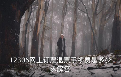 12306網上訂票退票手續費是多少求解答