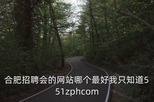 合肥招聘會的網站哪個最好我只知道551zphcom