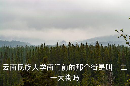 云南民族大學南門前的那個街是叫一二一大街嗎