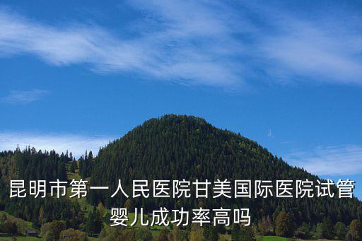 昆明市第一人民醫院甘美國際醫院試管嬰兒成功率高嗎