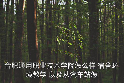 合肥通用職業學院，合肥通用職業技術學院在肥東還是肥西