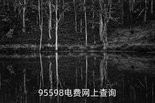 95598電費網上查詢