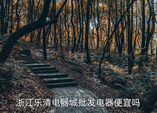 浙江樂清電器城批發電器便宜嗎