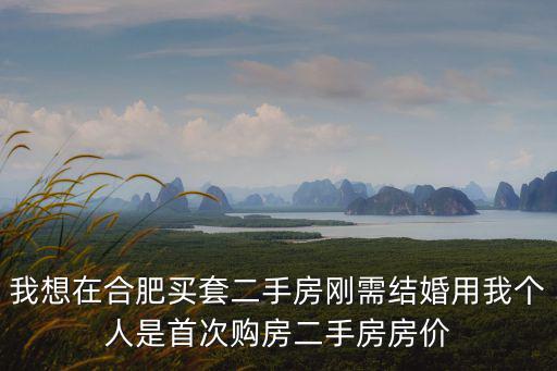 我想在合肥買套二手房剛需結婚用我個人是首次購房二手房房價