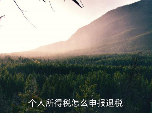 個(gè)人所得稅怎么申報(bào)退稅