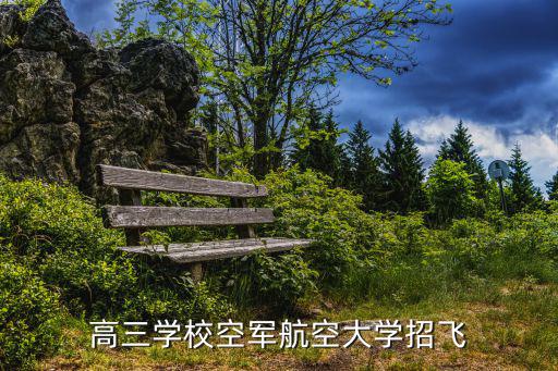 空軍招飛網(wǎng)官網(wǎng)，高三學(xué)校空軍航空大學(xué)招飛