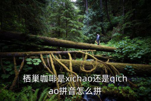 棲巢咖啡是xichao還是qichao拼音怎么拼