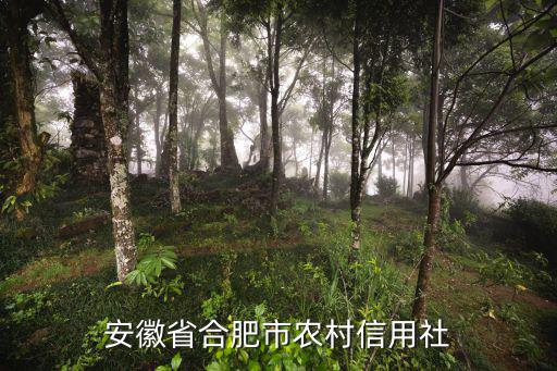 安徽省合肥市農(nóng)村信用社
