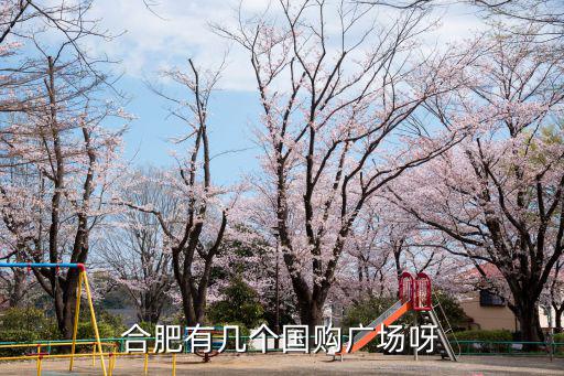 合肥有幾個(gè)國(guó)購(gòu)廣場(chǎng)呀