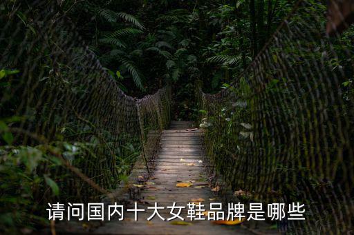 中國(guó)女鞋品牌，請(qǐng)問國(guó)內(nèi)十大女鞋品牌是哪些