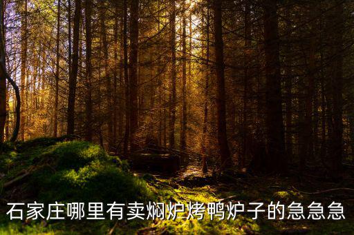 石家莊哪里有賣燜爐烤鴨爐子的急急急