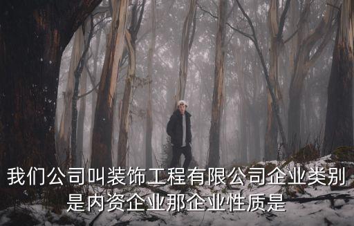 內資企業，我們公司叫裝飾工程有限公司企業類別是內資企業那企業性質是