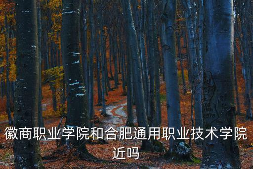 徽商職業學院和合肥通用職業技術學院近嗎