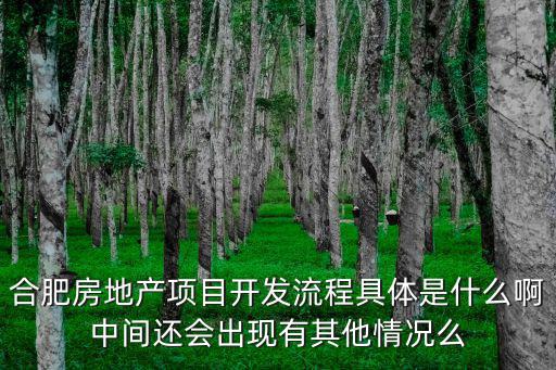 合肥房地產(chǎn)，合肥本地有哪些房地產(chǎn)公司比較好因?yàn)楸救耸谴髮．厴I(yè)想做房地產(chǎn)