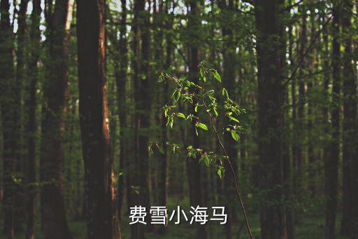 費雪小海馬