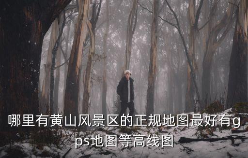 哪里有黃山風(fēng)景區(qū)的正規(guī)地圖最好有g(shù)ps地圖等高線圖