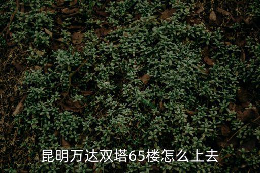 昆明西山萬達廣場，昆明西山萬達廣場的介紹