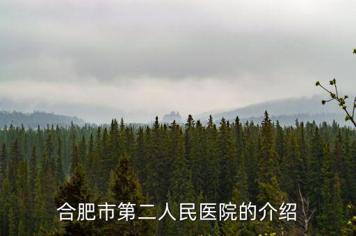 合肥市第二人民醫(yī)院的介紹