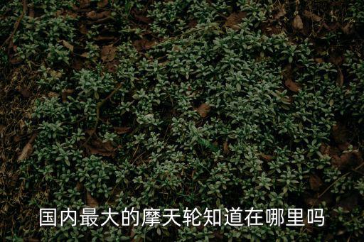 國內(nèi)最大的摩天輪知道在哪里嗎