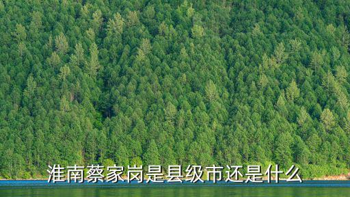淮南蔡家崗是縣級市還是什么