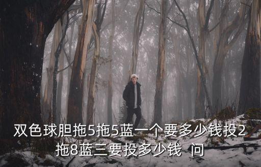 雙色球膽拖5拖5藍一個要多少錢投2拖8藍三要投多少錢  問