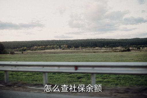 怎么查社保余額