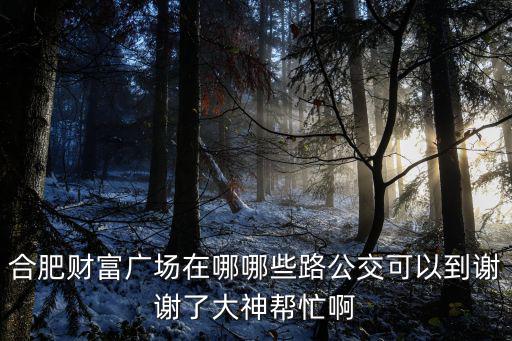 合肥財富廣場在哪哪些路公交可以到謝謝了大神幫忙啊
