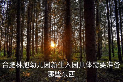 林旭幼兒園，合肥林旭幼兒園新生入園具體需要準備哪些東西