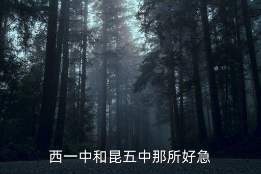西一中和昆五中那所好急