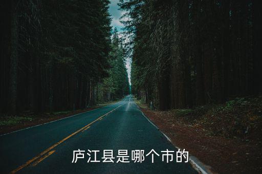 廬江縣是哪個市的