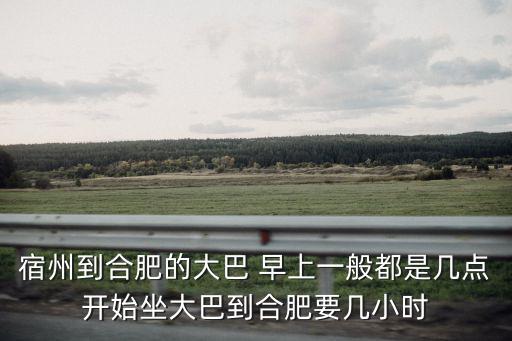 宿州到合肥，請(qǐng)問宿州到合肥的客車有幾點(diǎn)的多長(zhǎng)時(shí)間到合肥到哪個(gè)站下車  搜