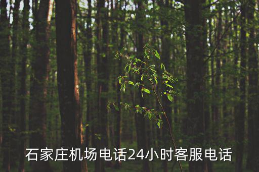 石家莊機場電話24小時客服電話