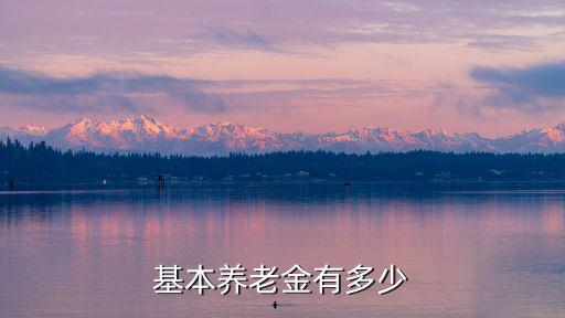 基本養(yǎng)老金有多少