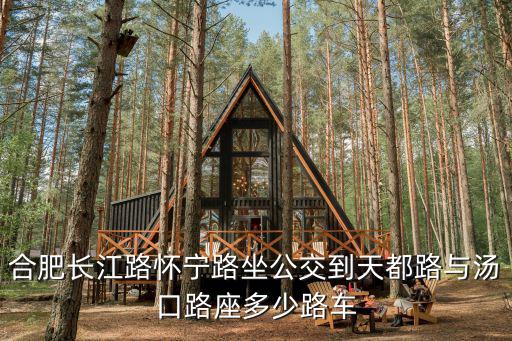 合肥長江路懷寧路坐公交到天都路與湯口路座多少路車