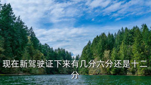 現在新駕駛證下來有幾分六分還是十二分