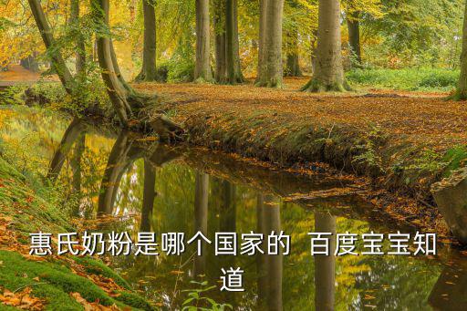 惠氏奶粉是哪個國家的  百度寶寶知道