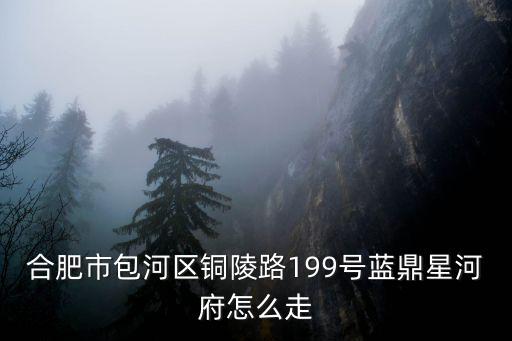 藍(lán)鼎星河府，合肥包河區(qū) 銅陵南路與巢湖路交叉口 藍(lán)鼎星河府在淝河鎮(zhèn)嗎