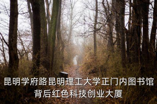文一錦門學(xué)府里，清華大學(xué)韓雨嵐什么地方的
