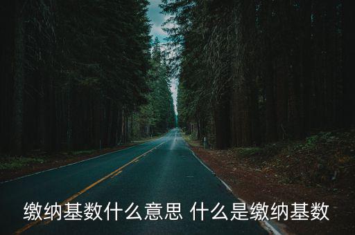 繳納基數，繳納基數什么意思 什么是繳納基數