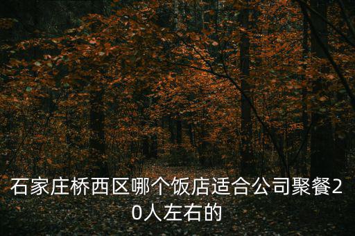 山城演義，石家莊橋西區哪個飯店適合公司聚餐20人左右的
