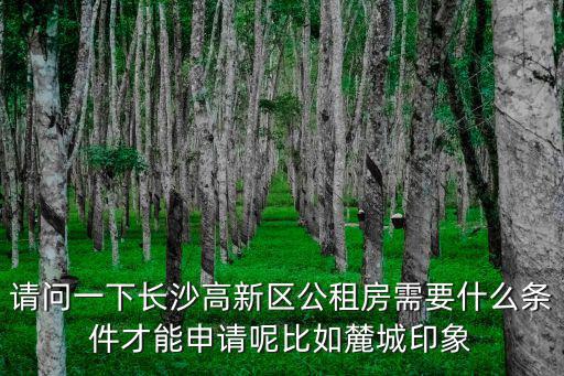 請問一下長沙高新區公租房需要什么條件才能申請呢比如麓城印象