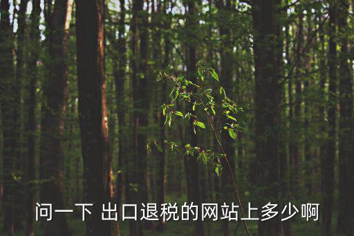 問一下 出口退稅的網站上多少啊