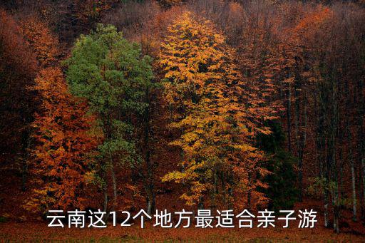 云南這12個地方最適合親子游