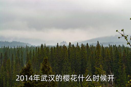 武漢櫻花什么時候開，2014年武漢的櫻花什么時候開