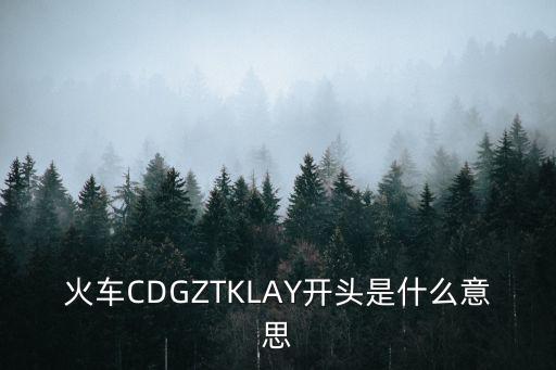 火車CDGZTKLAY開頭是什么意思