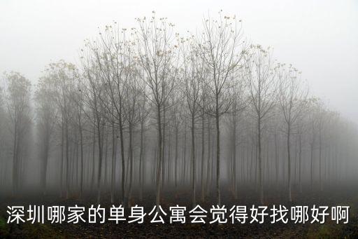 深圳哪家的單身公寓會覺得好找哪好啊