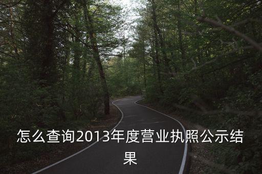 公示結果，怎么查詢2013年度營業(yè)執(zhí)照公示結果