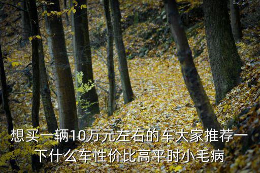 想買一輛10萬元左右的車大家推薦一下什么車性價比高平時小毛病