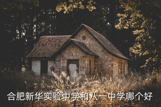 合肥新華實(shí)驗(yàn)中學(xué)和八一中學(xué)哪個(gè)好